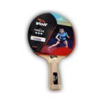 TAICHI 3 STAR PİNPON RAKETİ