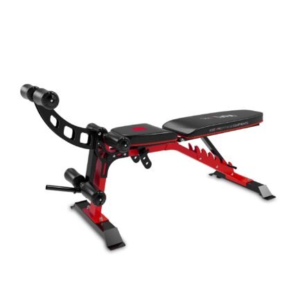 PRO BN100 DUMBELL BENCH