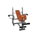 STRENGTH AGIRLIK SEHPASI DLX